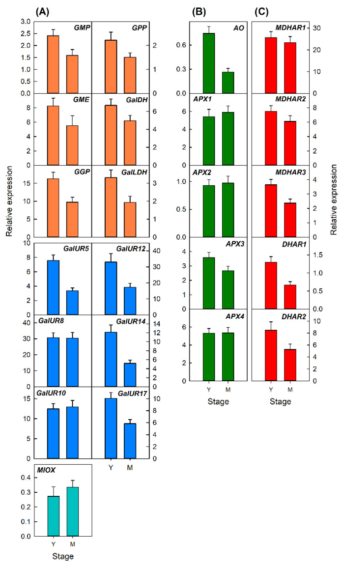 Figure 5