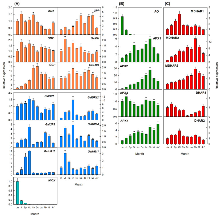 Figure 6