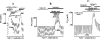 Fig. 6