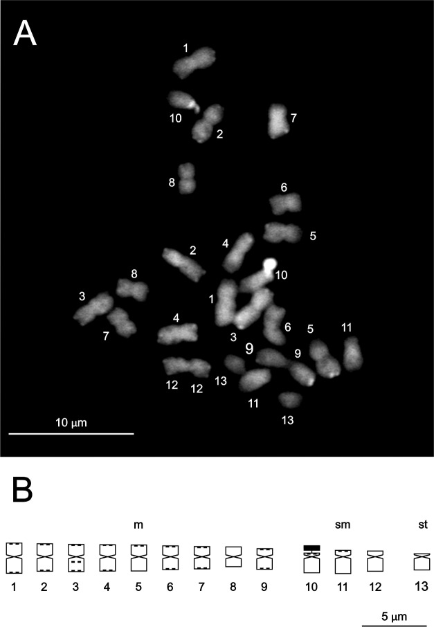 Fig 5