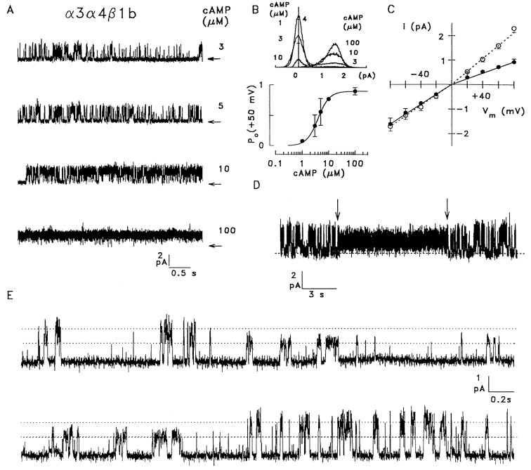 Fig. 9.