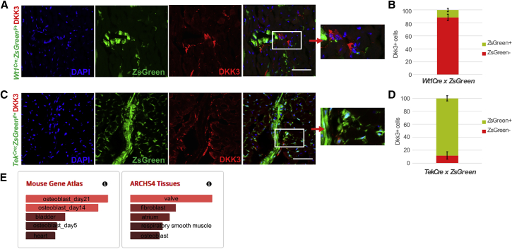 Figure 3