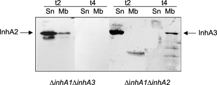 FIG. 4.