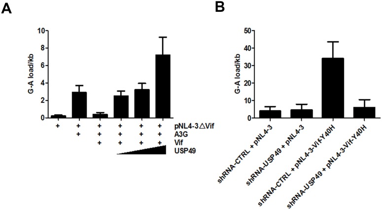 Figure 2—figure supplement 1.