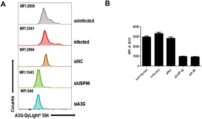 Figure 2—figure supplement 2.