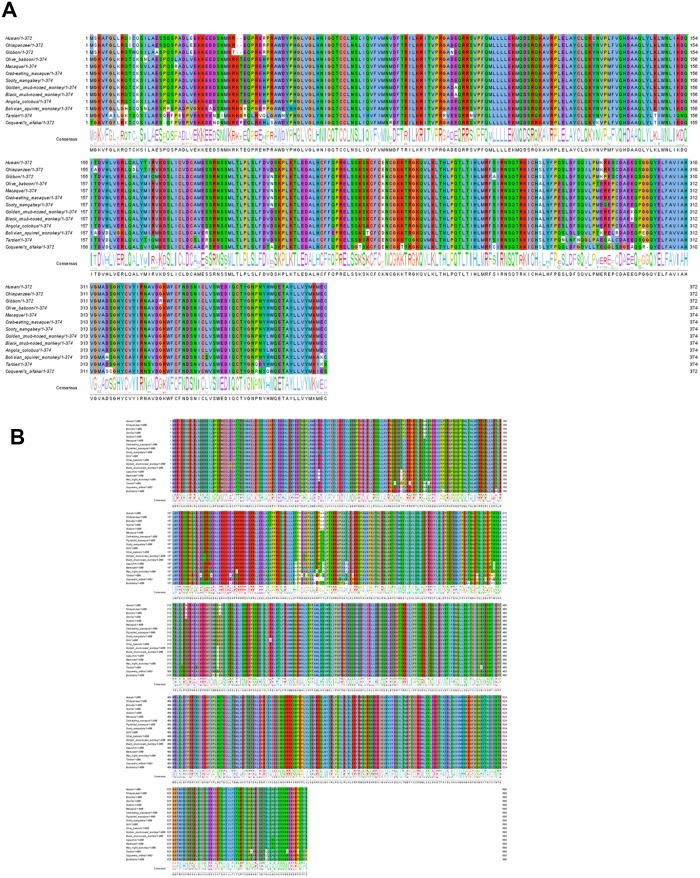 Figure 1—figure supplement 4.