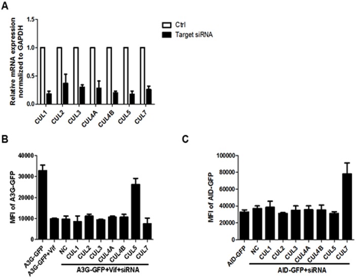 Figure 3—figure supplement 2.