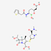 graphic file with name antibiotics-12-00234-i010.jpg