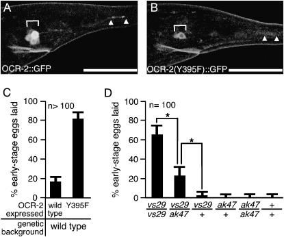 Figure 2.—