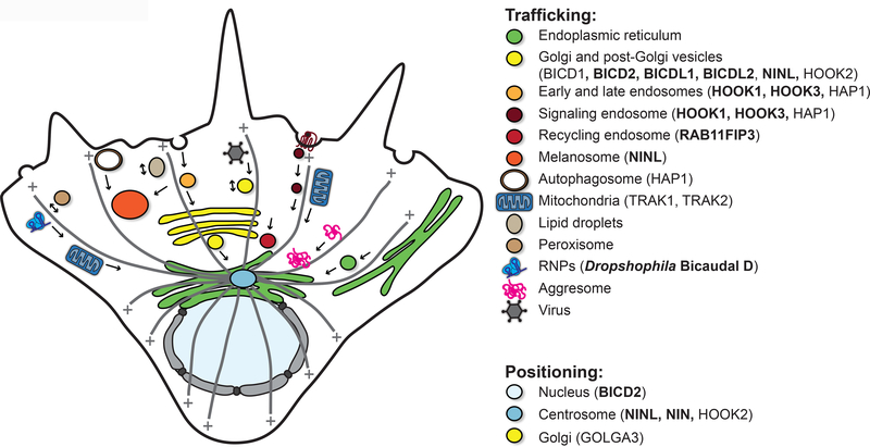 Figure 2 |