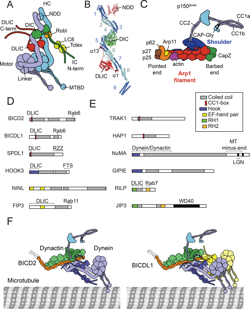 Figure 1 |