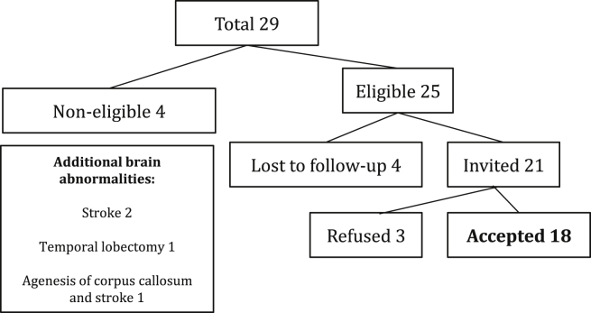 Fig. 1