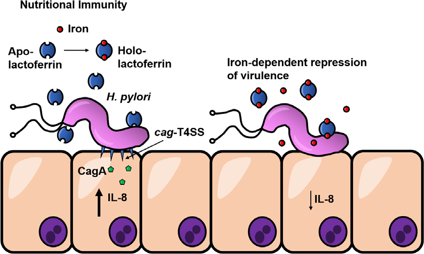 Figure 5.