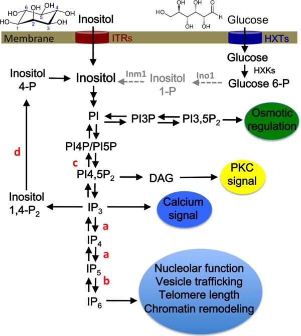 FIG 1 