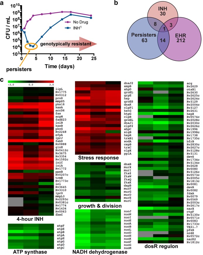 FIG 1 