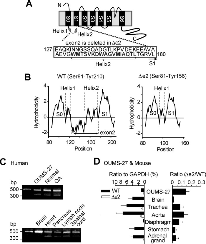 FIGURE 1.