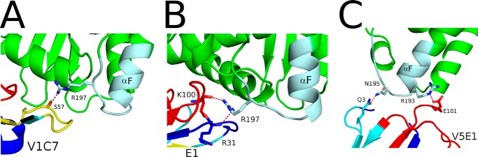 FIGURE 9.