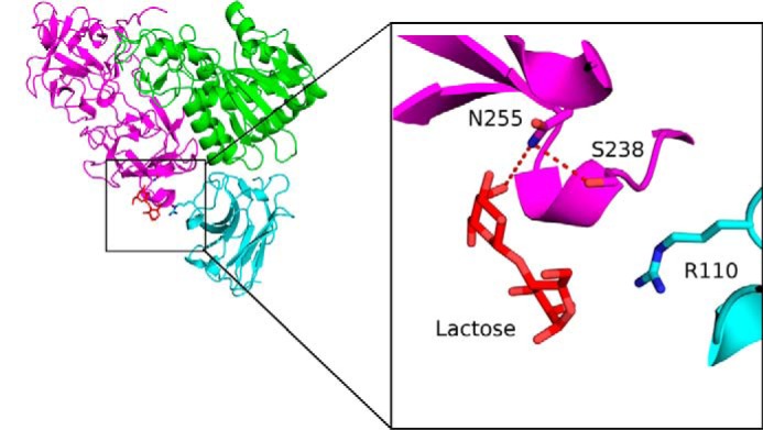 FIGURE 10.