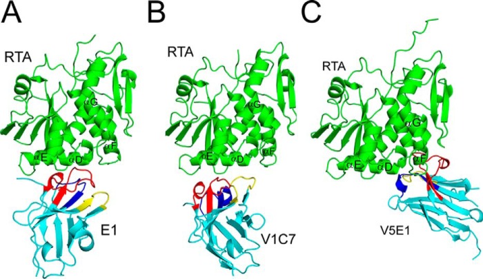 FIGURE 6.