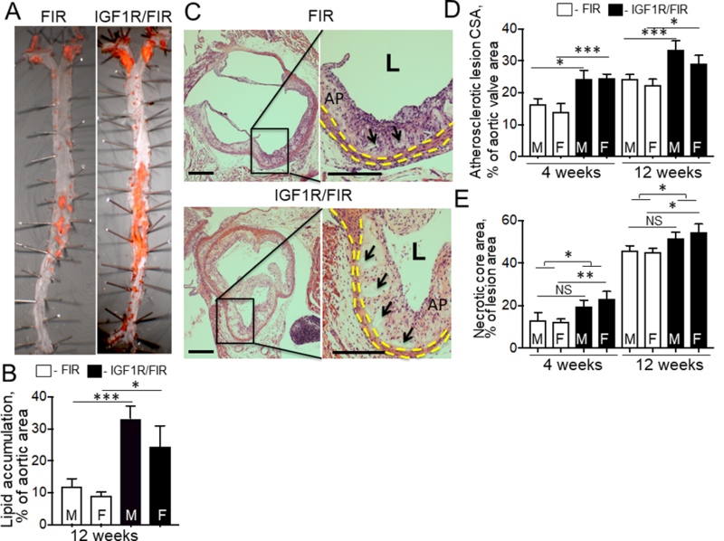 Figure 3.