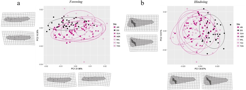 Fig. 7