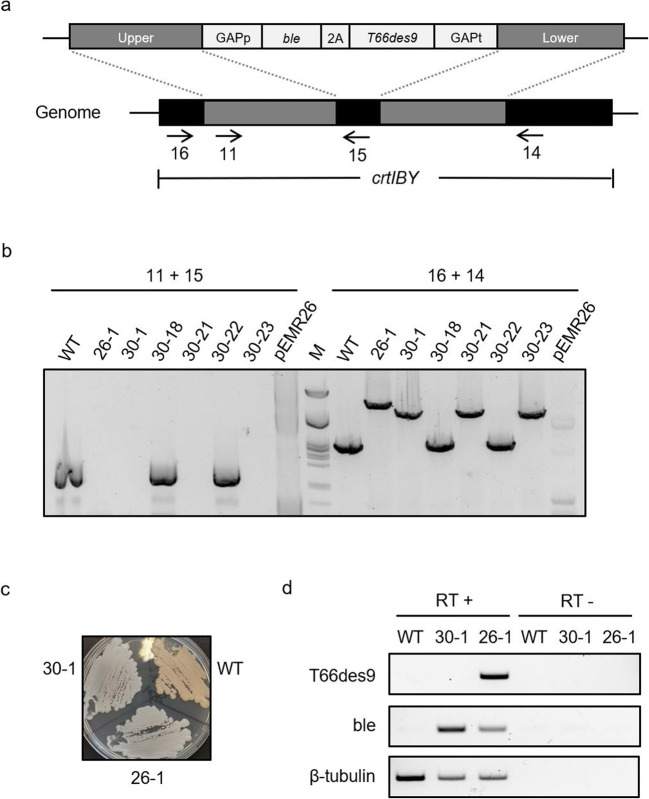 Fig. 4