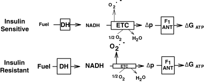 FIG. 5.