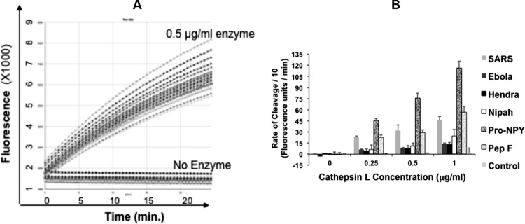 FIG 2