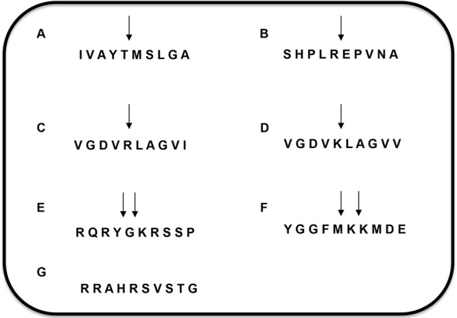 FIG 1