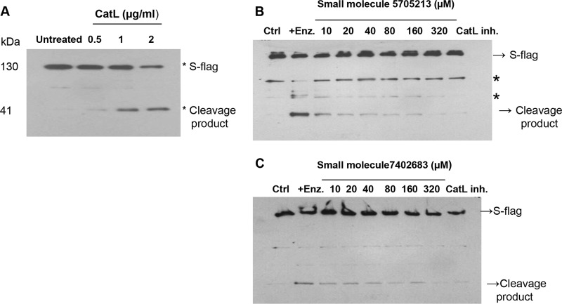 FIG 7