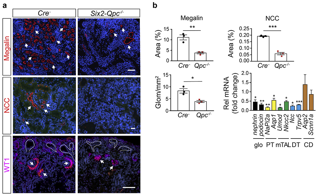 Figure 2 |