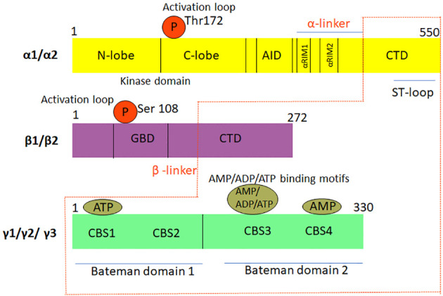 Figure 2