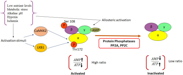 Figure 1