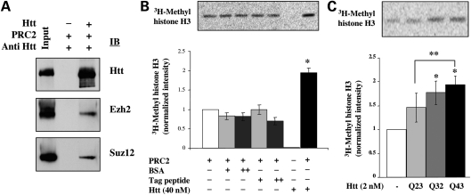 Figure 4.