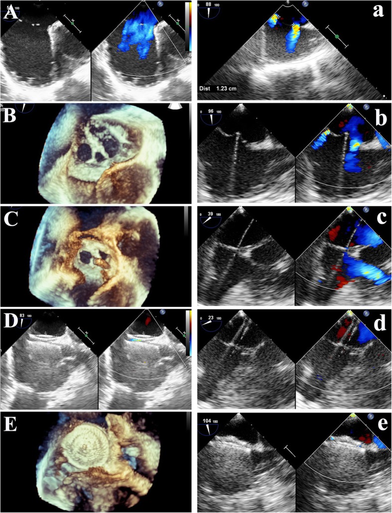 Fig. 5