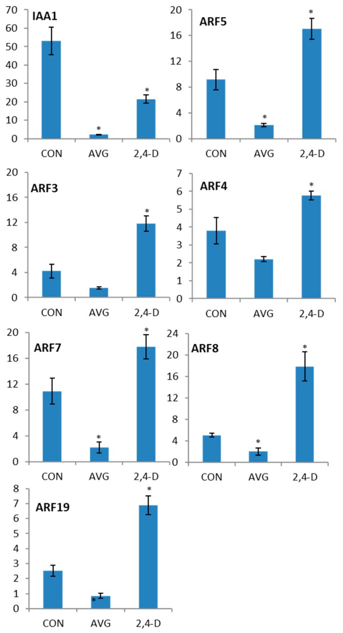 Figure 5