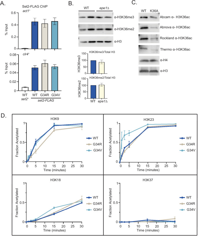 Figure 1—figure supplement 1.