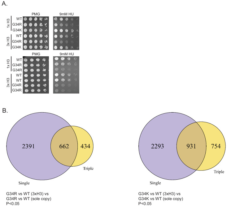 Figure 6—figure supplement 1.