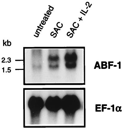 FIG. 5