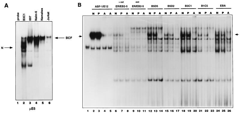 FIG. 8