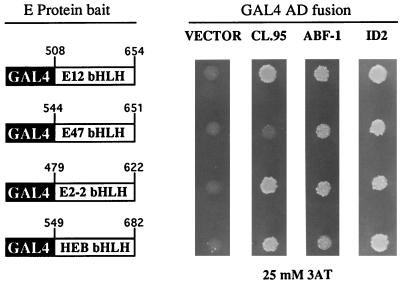 FIG. 1