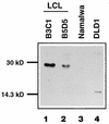 FIG. 7