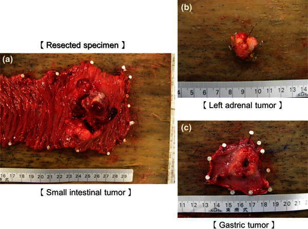 Fig. 7