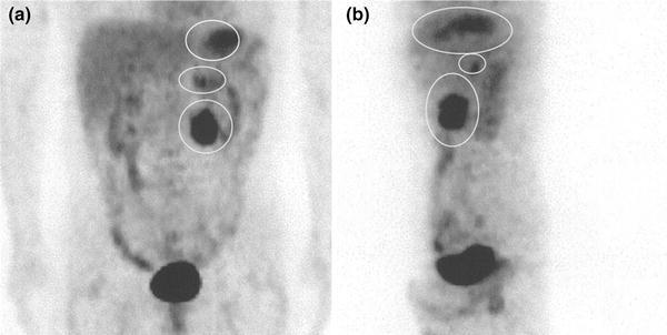 Fig. 6