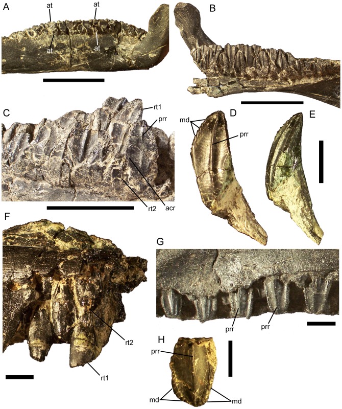 Figure 21