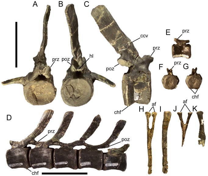 Figure 26