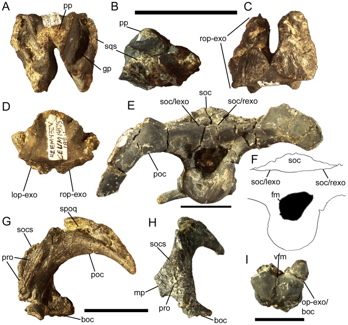 Figure 18