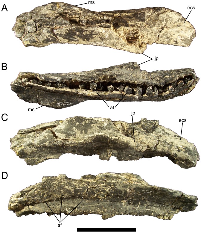 Figure 10