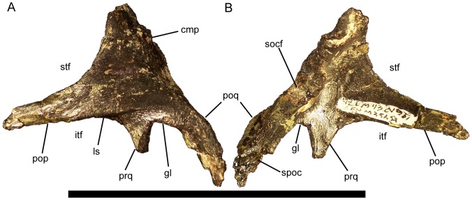 Figure 14