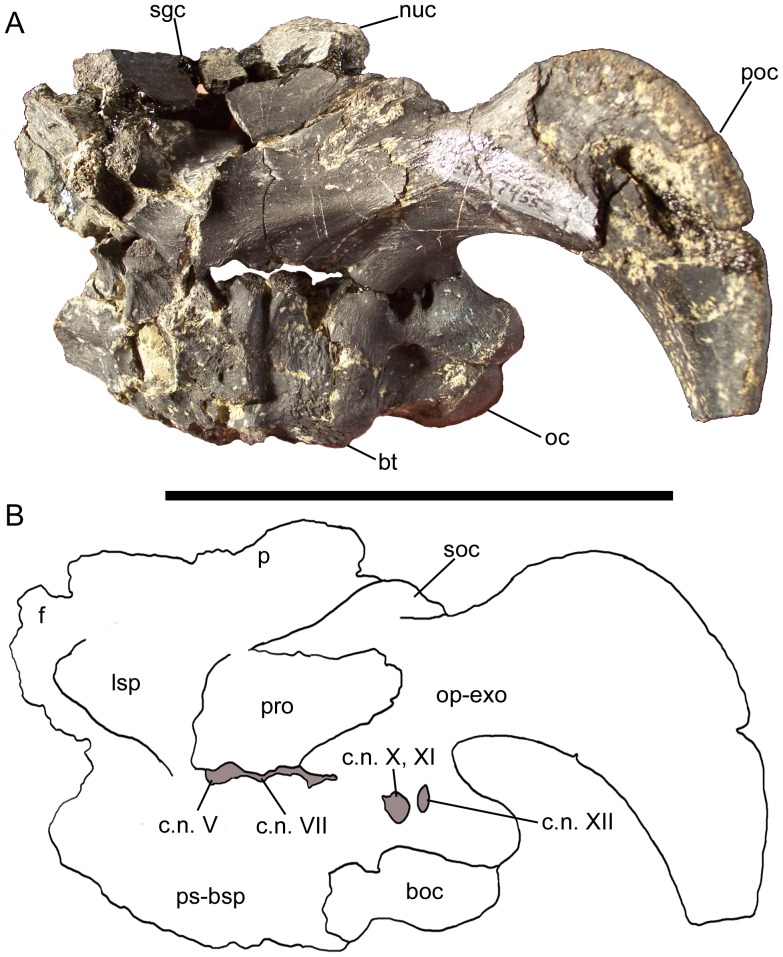 Figure 15